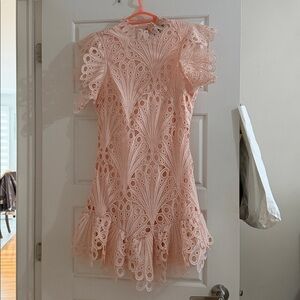 Socialite Blush Lace Mini Dress with Ruffle Hem